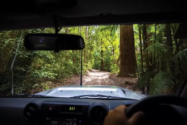 Car driving in Forest for Variety 4WD Event