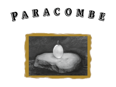 Paracombe Logo