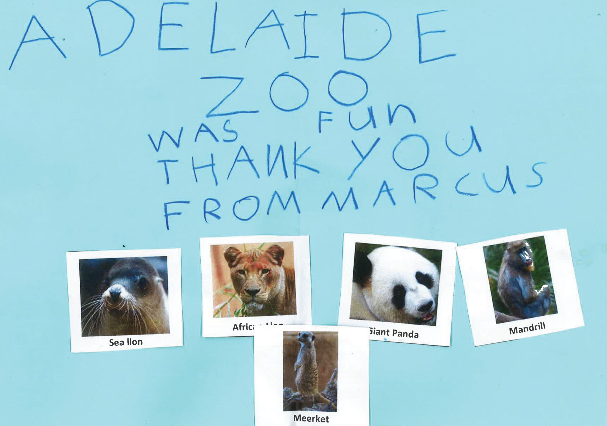 Regular Giving for Variety Zoo Day